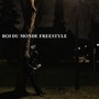 ROI DU MONDE FREESTYLE (feat. Oudini)