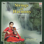 Strings Of Harmony - Violin On 3 Octaves