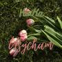 Usycham