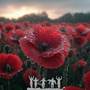 Remembrance Day Symphonies