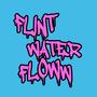 Flint Water Flow (Explicit)