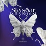 Skysoar (N3UX Remix)