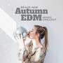 Brand New Autumn EDM Music Chillout