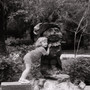 кошки