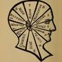 Muddle In My Head