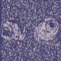 Just Observe (Throwaway) [Explicit]