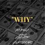 WHY (Explicit)