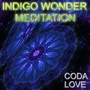 Indigo Wonder Meditation