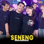 Seneng