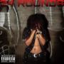 24 rounds (Explicit)