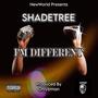 Im Different (Explicit)