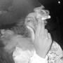 Warzone (Explicit)