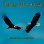 Condor Meets the Eagle