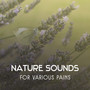 Nature Sounds for Various Pains – Hypnotic Music to Help You Fight with Physical & Mental Ailments, Therapeutic Melodies for Diseases Treatment