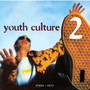 Youth Culture 2