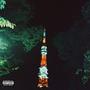 Wish I Had Known (Explicit)