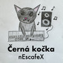 Černá kočka