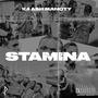 Stamina (Explicit)