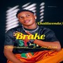 Brake