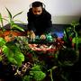 Lost In The Jungle