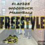 Freestlye (feat. Flay223 & Manny Bagz) [Explicit]