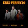 Eres Perfecto (feat. Travy Joe & Amor Extremo)