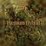 Premium Hybrid