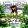 Mumbanian Pine Treez (Explicit)