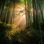 Lofi Calm: Melodic Journeys Through Quiet Spaces and Silent Time