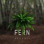 Fern