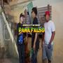 Pana Falso (feat. Mc Bronx)