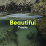 Beautiful Tracks