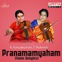 Pranamamyaham (Violin Delights)