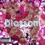 Blossom (Explicit)