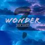 Wonder (Explicit)