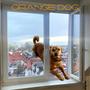 Orange Dog