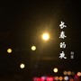 长春的夜 (随意录版本)