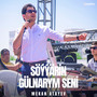 Söýýärin Gülnarym Seni