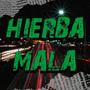 Hierba Mala