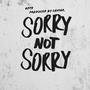 Sorry Not Sorry (Explicit)