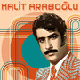 Halit Araboğlu