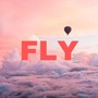 FLY (Explicit)