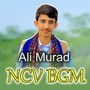 Ncv Bgm