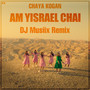 Am Yisrael Chai (Remix)