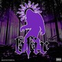 bfir (Explicit)