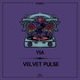 Velvet Pulse