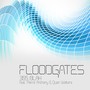 Floodgates (feat. Pierre Anthony & Quan Walters) [Explicit]