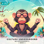 Culture Underground (Nedisco Remix)