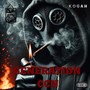Generation Ccn (Explicit)