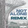 Not Alone (feat. Benjamin Kheng, Evan Low & NDPeeps)